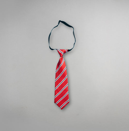 DAL Tie