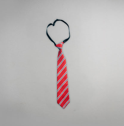 DAL Tie