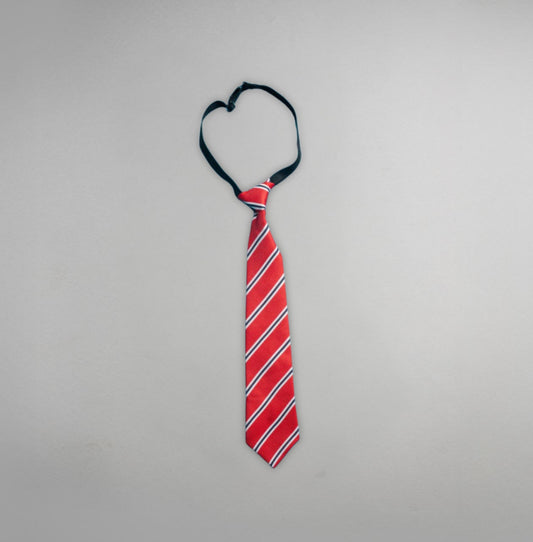 DAL Tie